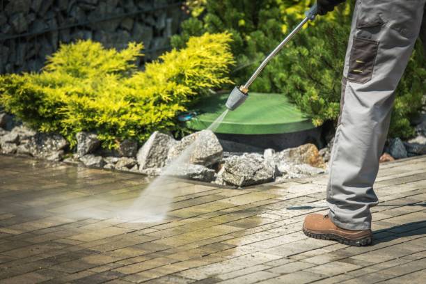 Best Pre-Holiday Cleaning  in Stro Valley, CA