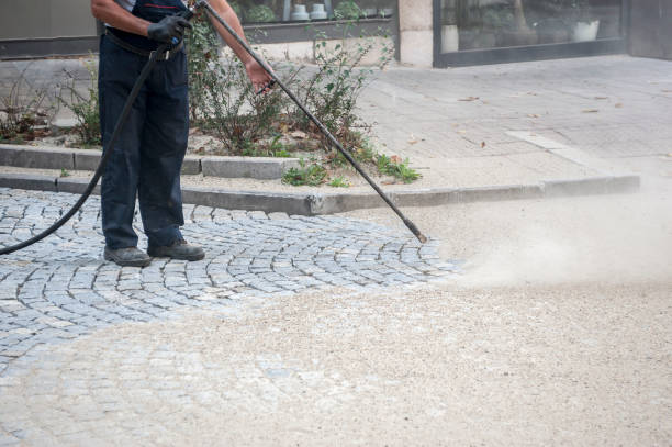 Best Graffiti Removal  in Stro Valley, CA